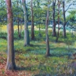 2012, Lesopark u Schwarzenbersk hrobky, olej na pltn 40x40cm