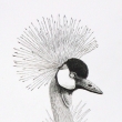 2007, Inkoust na pape, 20x26cm